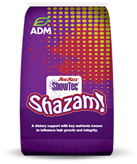 ShowTecShazam-3D-bag-WEB