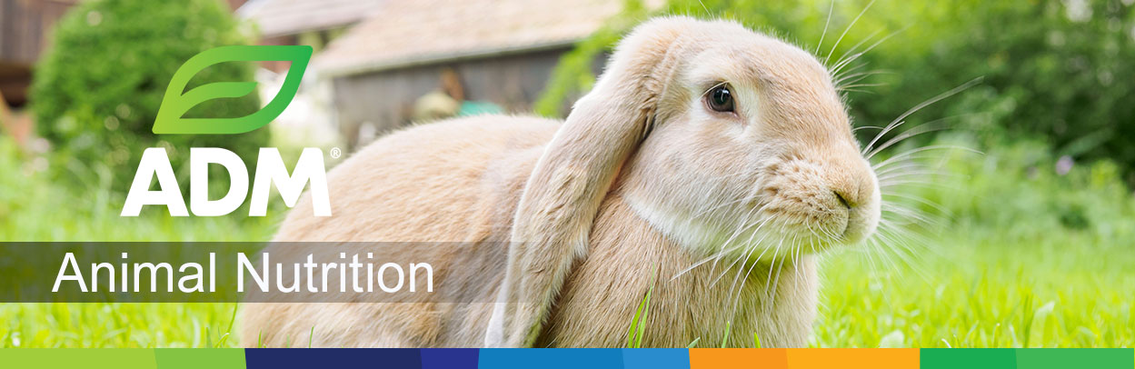 rabbit grower pellets