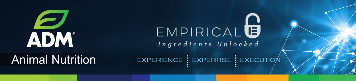 EmpiricalBanner