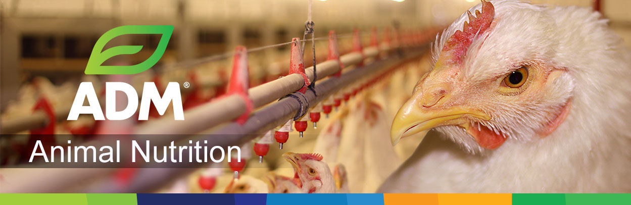 1SpecialtyIngr-Main-Landing-Banner-Poultry