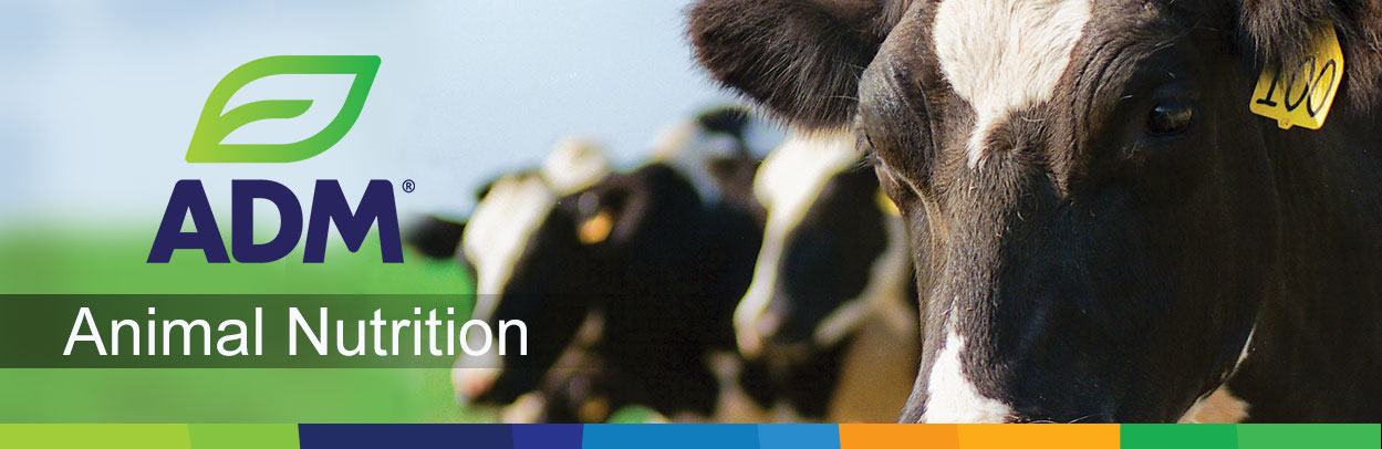 3SpecialtyIngr-Main-Landing-Banner-Dairy1