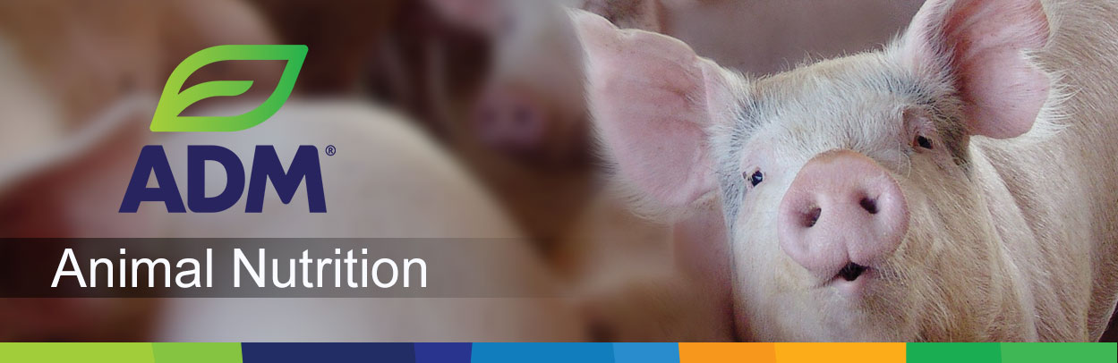5SpecialtyIngr-Main-Landing-Banner-Swine1