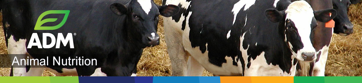 Dairy-Subpage-Medium-Banner13