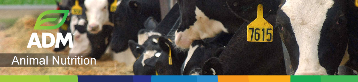 Dairy-Subpage-Medium-Banner14