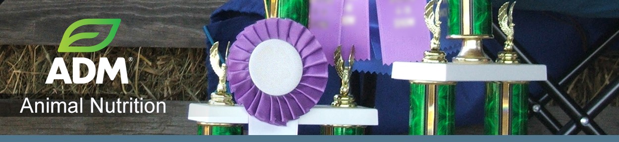 ShowFeed-Subpage-Medium-Banner10