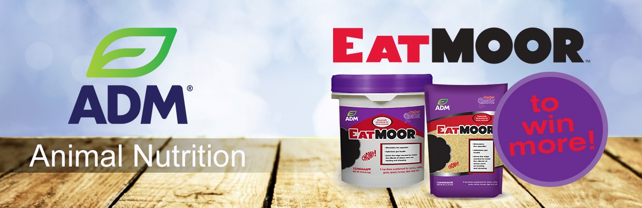 02ShowFeed-Main-Landing-Banner-EatMoor