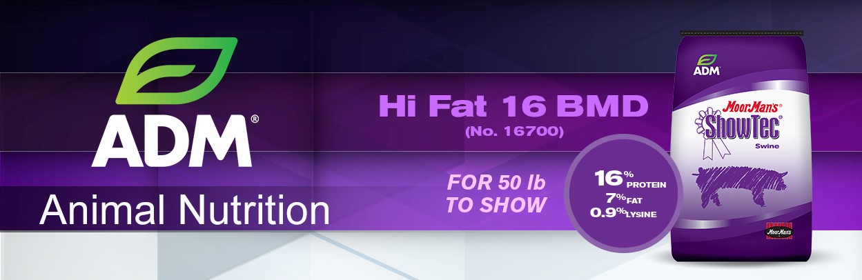 03ShowFeed-Main-Landing-Banner-HiFat16700