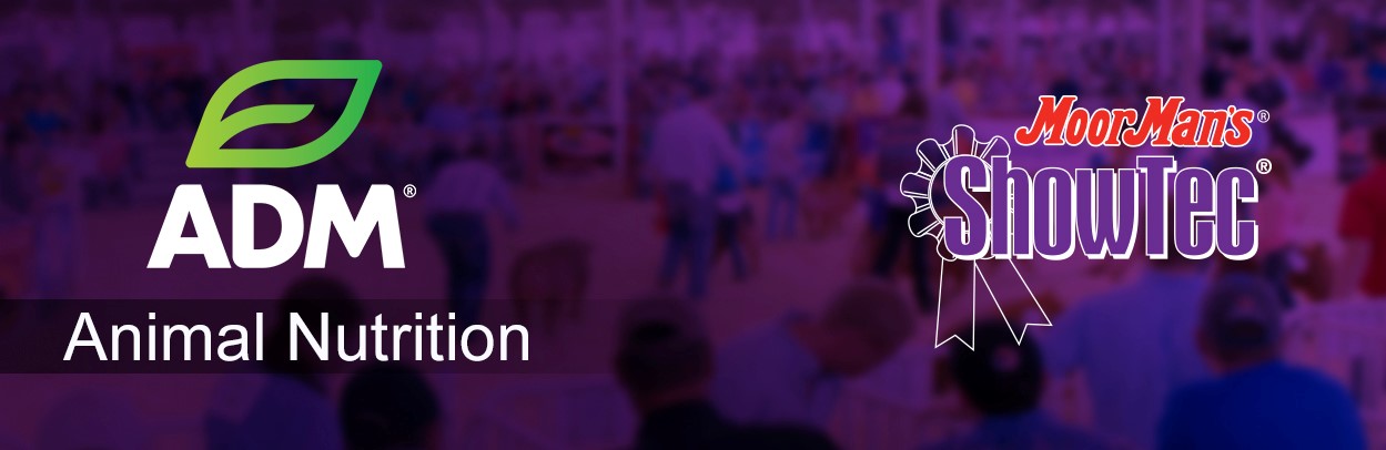 Shortcut to ShowFeed-Main-Landing-Banner-ShowTec