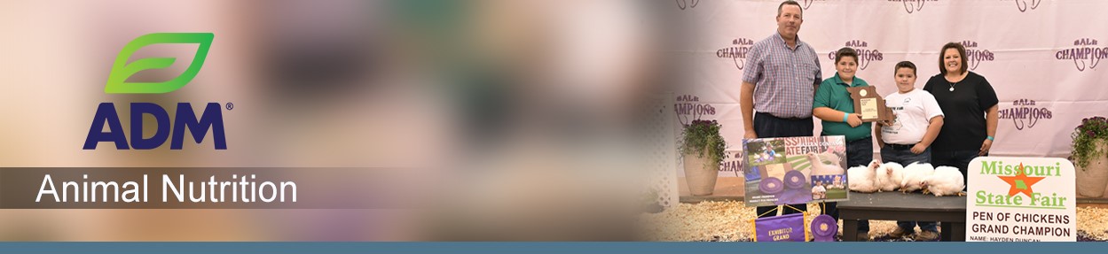 ShowFeed-Subpage-Medium-Banner-ShowChicken