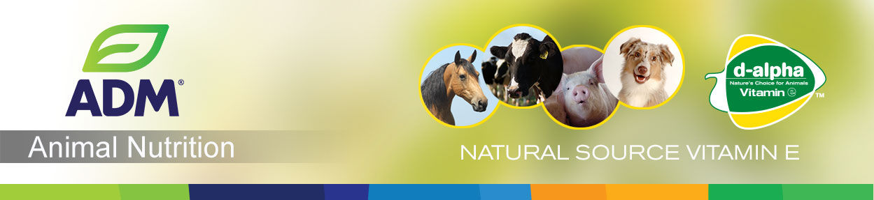 SpecialtyIngr-Subpage-Medium-Banner-NSE