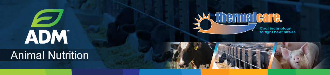 SpecialtyIngr-Subpage-Medium-Banner-ThermalCare
