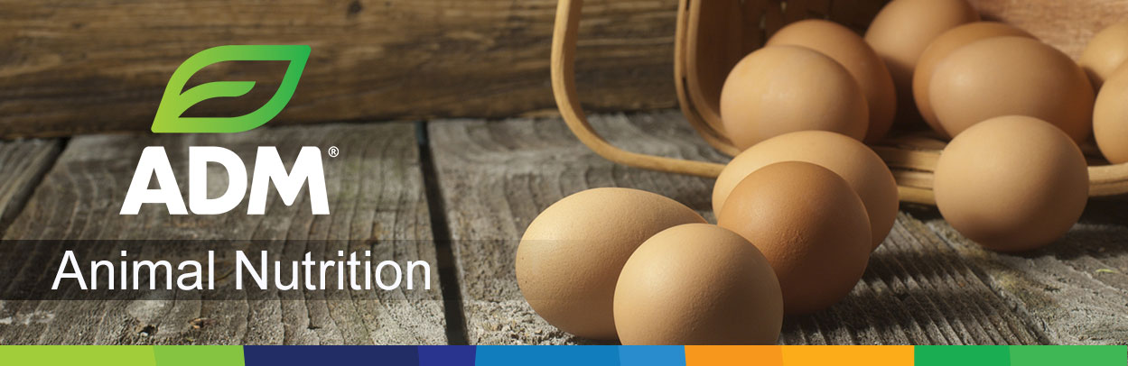 Poultry-Main-Landing-Banner3