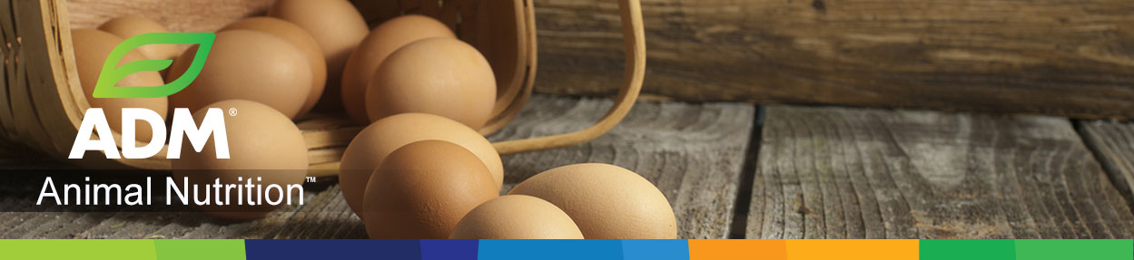 Poultry-Subpage-Medium-Banner6