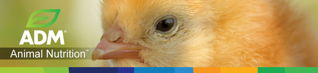 Poultry-Subpage-Medium-Banner3