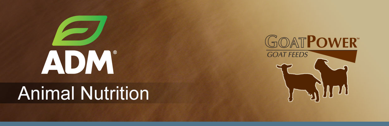 ComGoat-Main-Landing-Banner-1