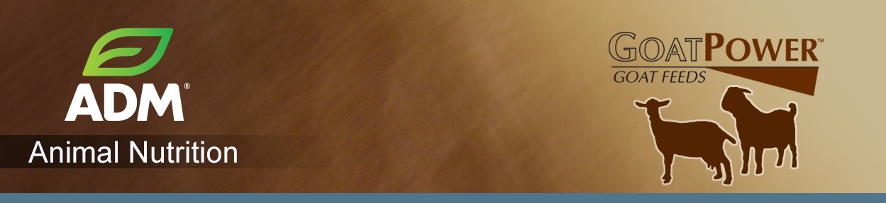 ComGoat-Subpage-Medium-Banner