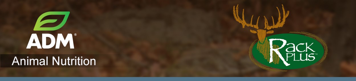 DeerElk-Subpage-Medium-Banner