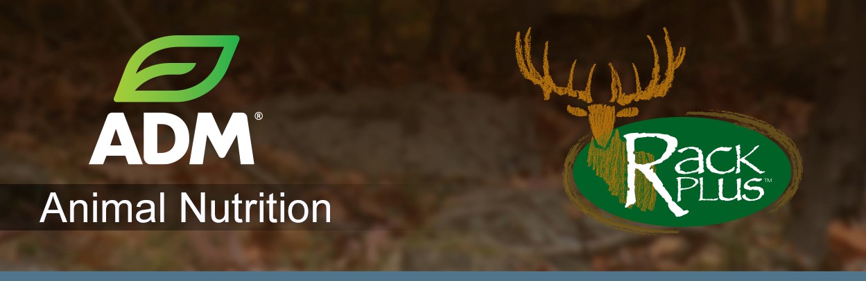 DeerElk-Main-Landing-Banner-Logo-1