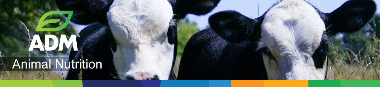 Beef-Subpage-Medium-Banner-12