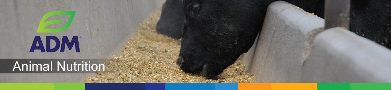 Beef-Subpage-Medium-Banner-3