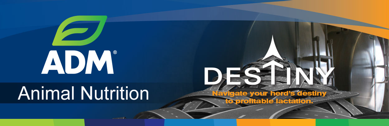 Dairy-Main-Landing-Banner-Destiny