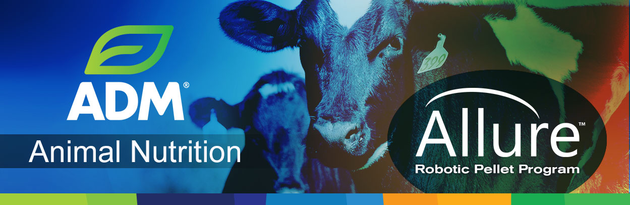 Dairy-Main-Landing-Banner-Allure