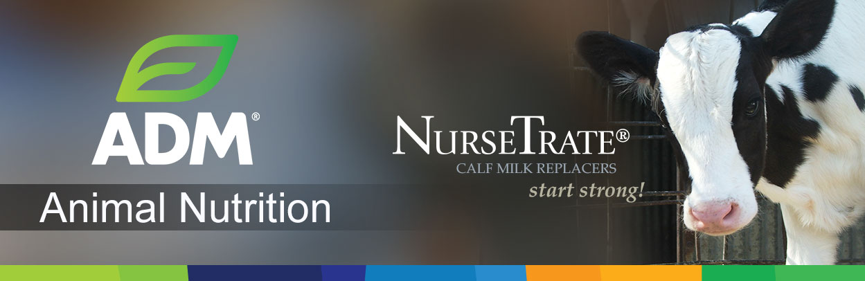 Dairy-Main-Landing-Banner-NurseTrate