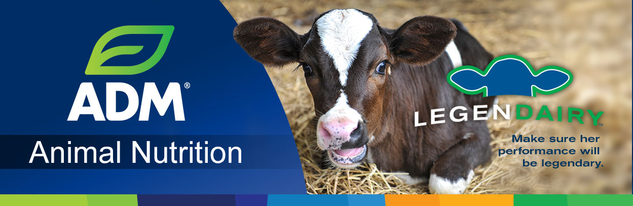 Dairy-Main-Landing-Banner-Legendairy