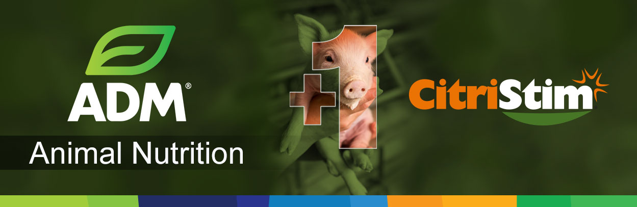 Swine-Main-Landing-Banner-1