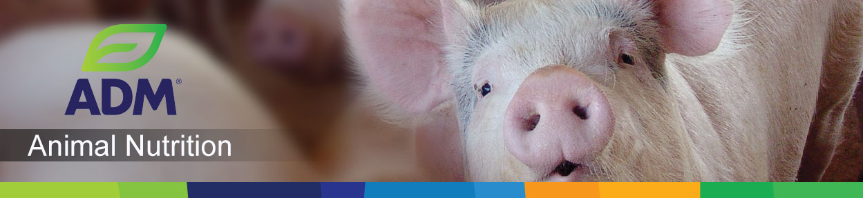 Swine-Subpage-Medium-Banner-1