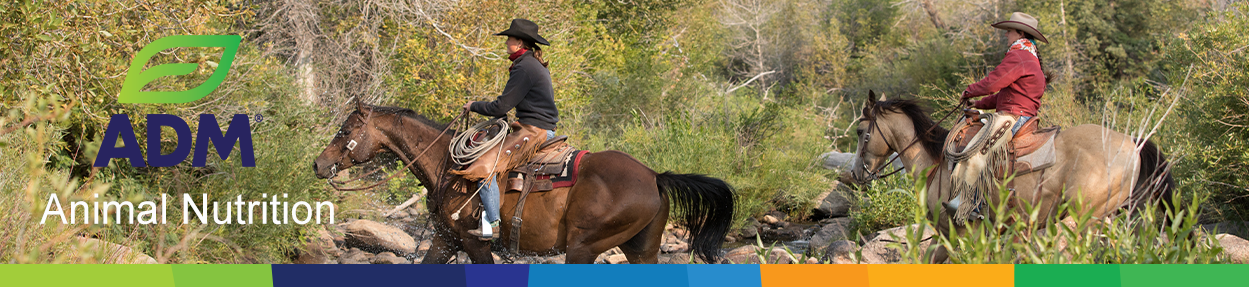 Equine-Subpage-Medium-Banner-12