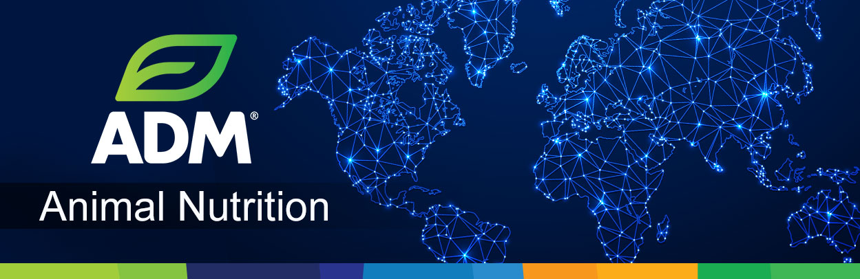 Internationa-Main-Landing-banner1