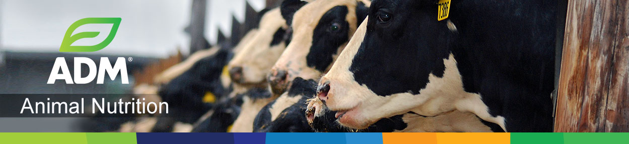 Dairy-Subpage-Medium-Banner14