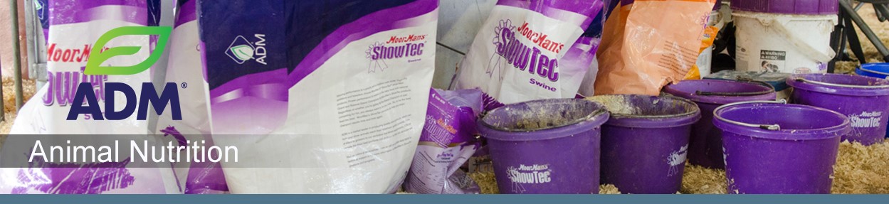 ShowFeed-Subpage-Medium-Banner6-MULTISPECIES