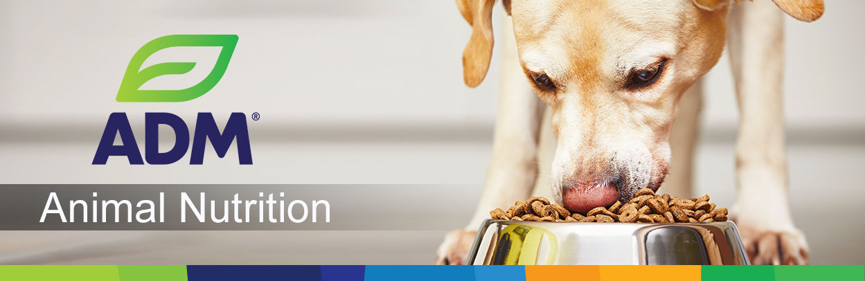 PremixBlending-Main-Landing-Banner-Pet