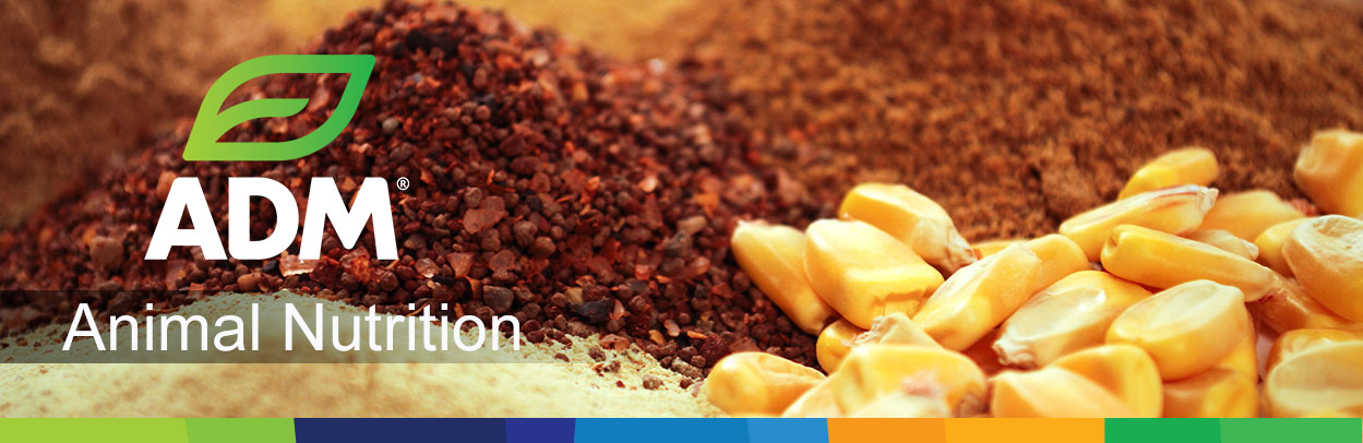 PremixBlending-Main-Landing-Banner-IngredientJars
