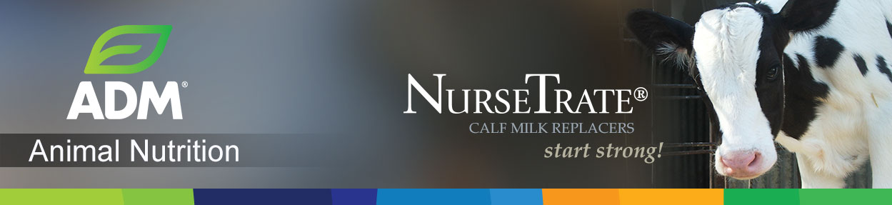 Dairy-Subpage-Medium-Banner-NurseTrate