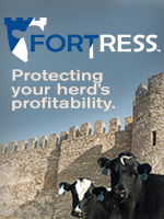Fortress
