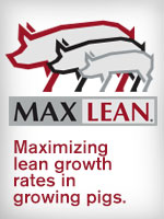 MaxLean