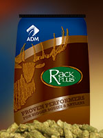 RackPlus