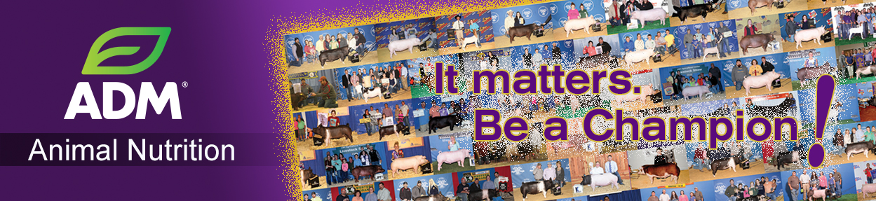 ANChampionBanner