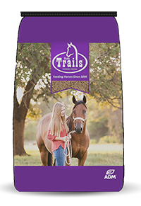 Tindle Trails